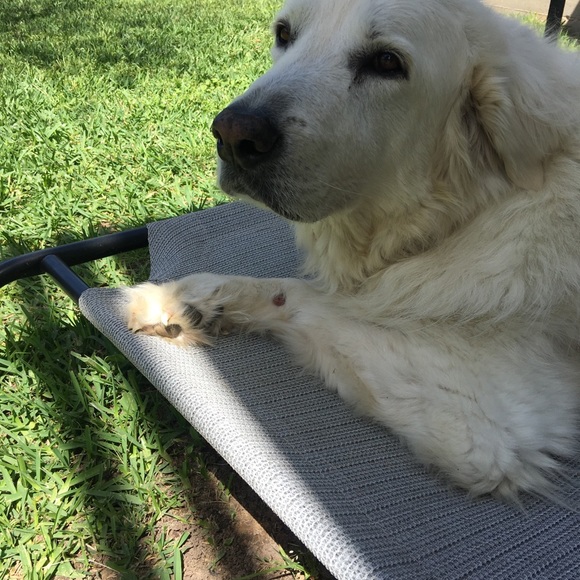 Meet your Posher, LC - Picture 3 of 14